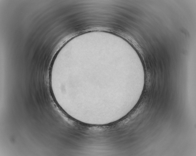 X0000110970898200907310927