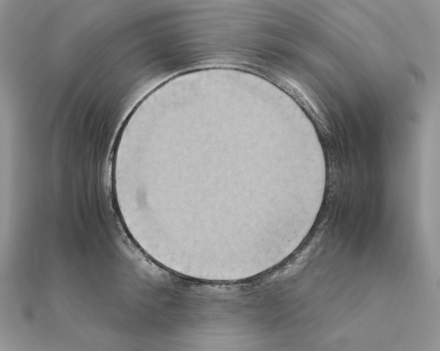 X0000110970900200907310927