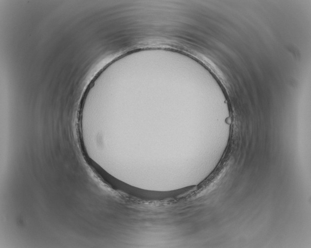 X0000110970901200907310927
