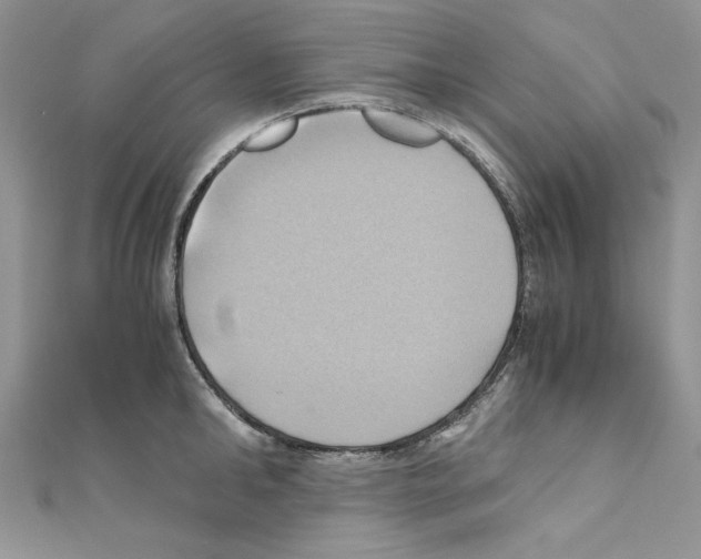 X0000110970902200907310927