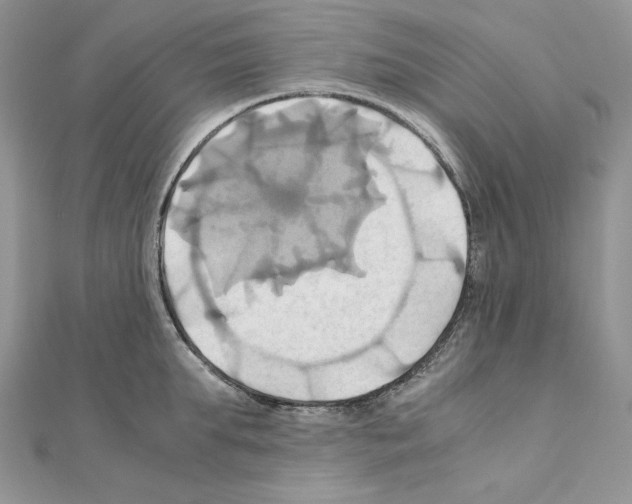 X0000110970903200907310927