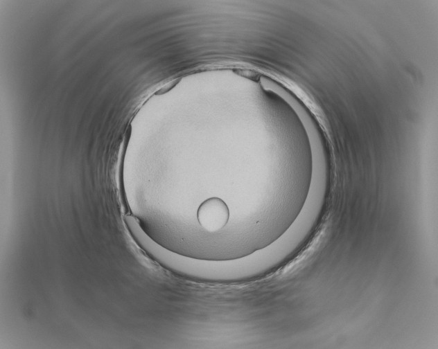 X0000110970905200907310927