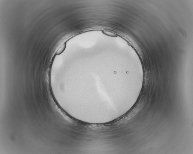 X0000110970906200907310927