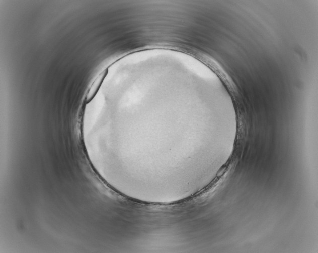 X0000110970908200907310926