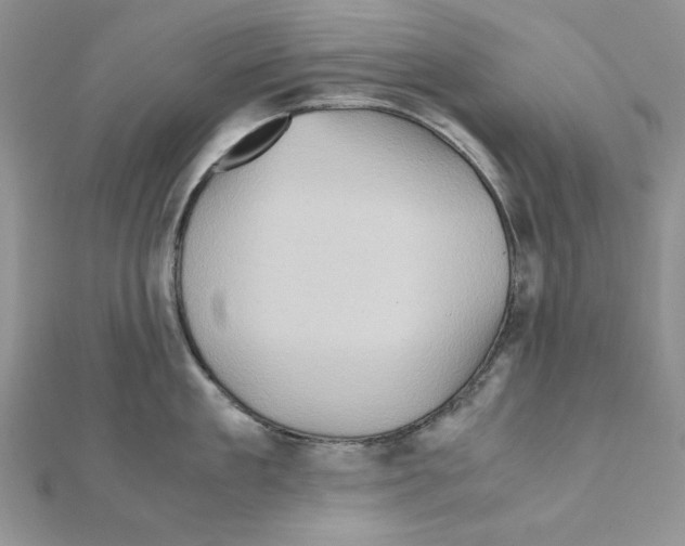 X0000110970909200907310926