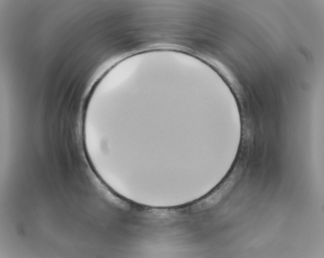 X0000110970910200907310926