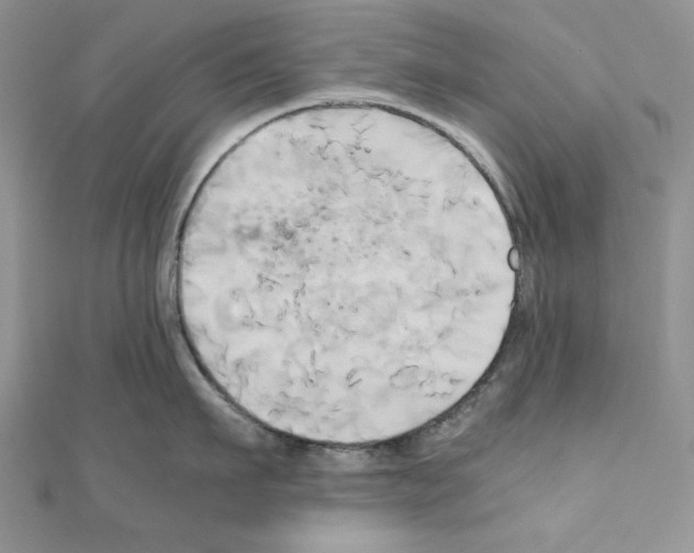 X0000110970911200907310926