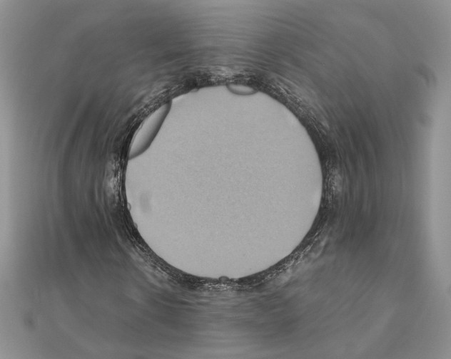 X0000110970914200907310926