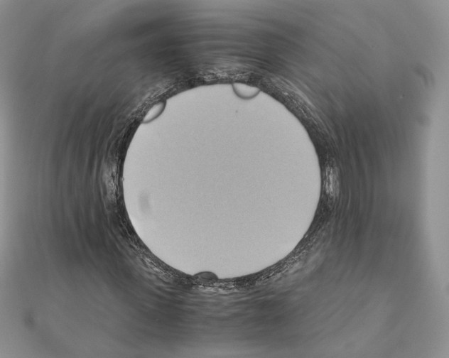 X0000110970915200907310926