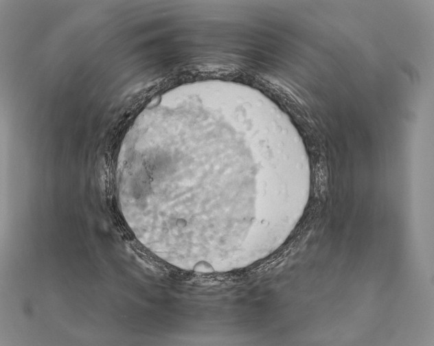 X0000110970917200907310926