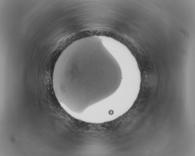 X0000110970918200907310926