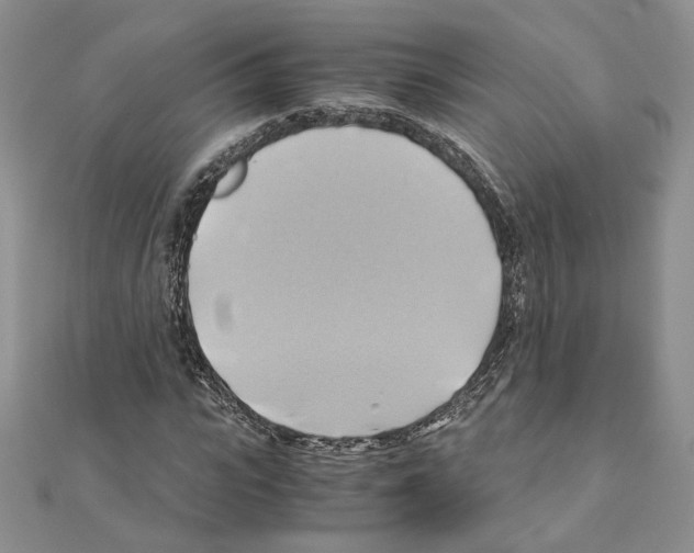 X0000110970919200907310926