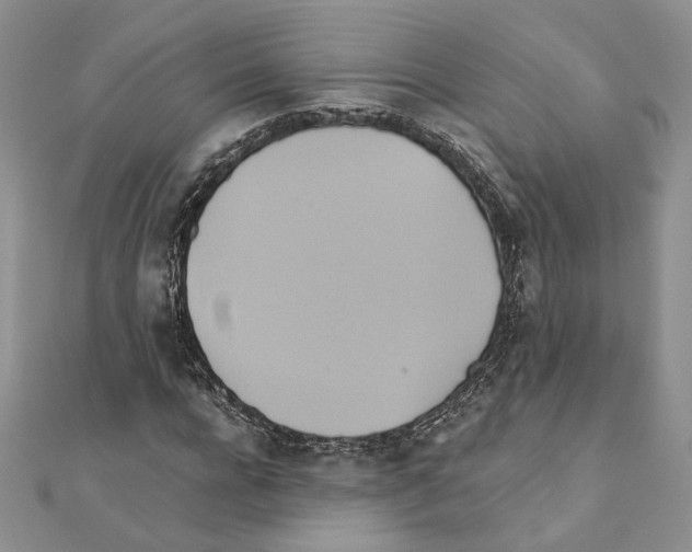 X0000110970920200907310926