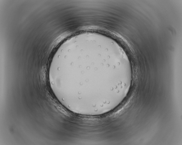 X0000110970921200907310926