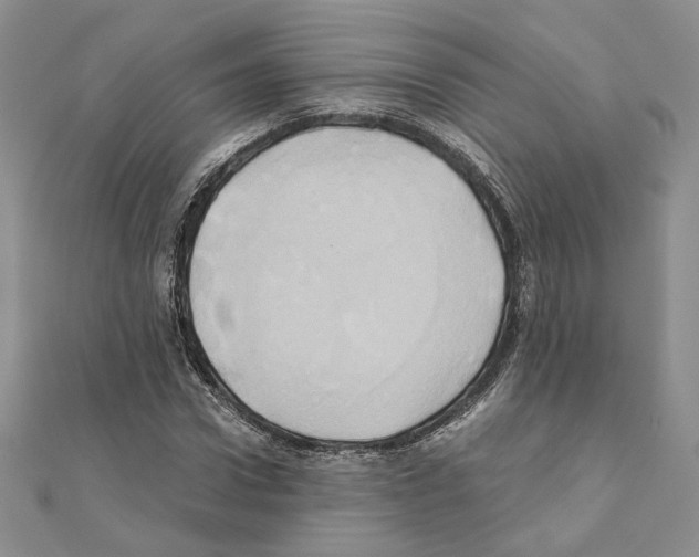 X0000110970922200907310926