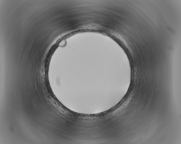 X0000110970923200907310926