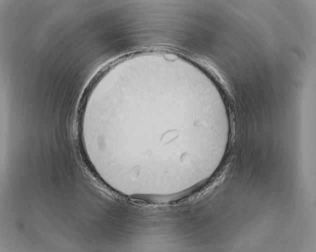 X0000110970924200907310926
