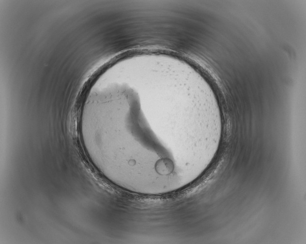 X0000110970925200907310926