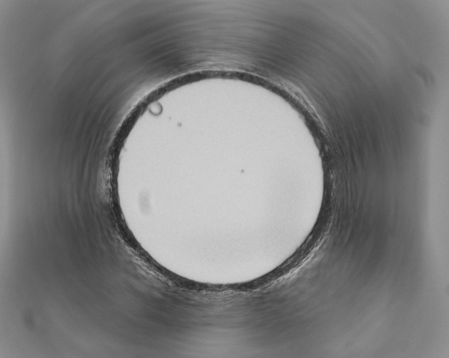 X0000110970926200907310926