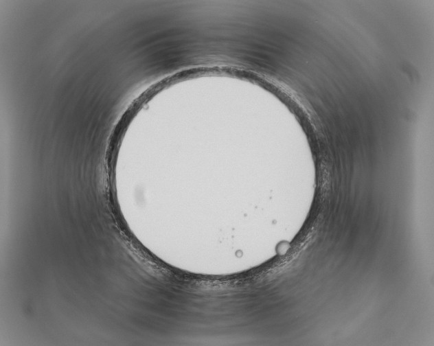X0000110970927200907310926