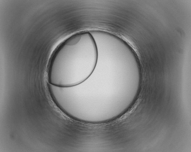 X0000110970928200907310926