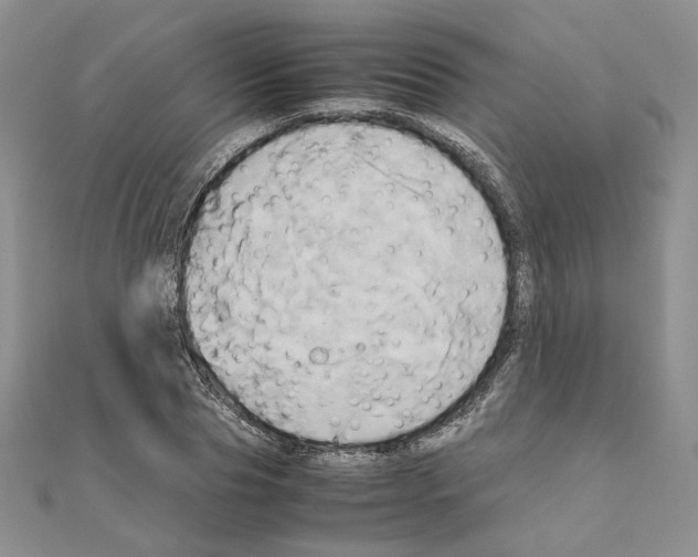 X0000110970929200907310926