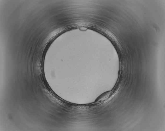 X0000110970930200907310926