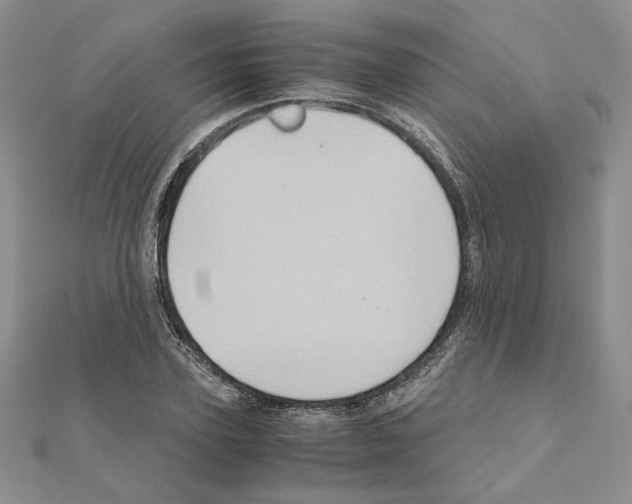 X0000110970931200907310926