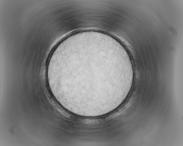 X0000110970933200907310926