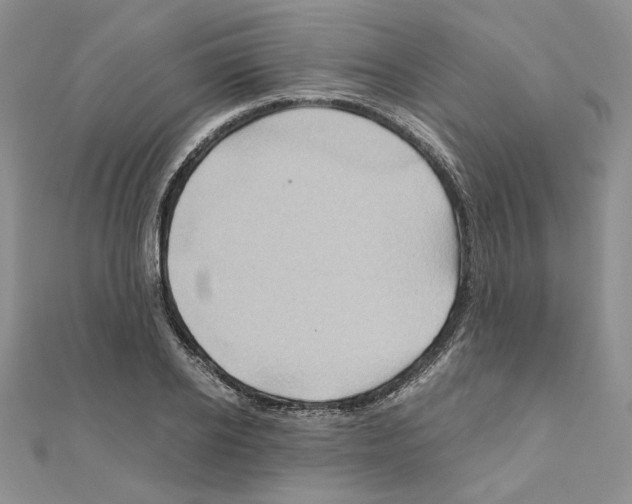 X0000110970934200907310926