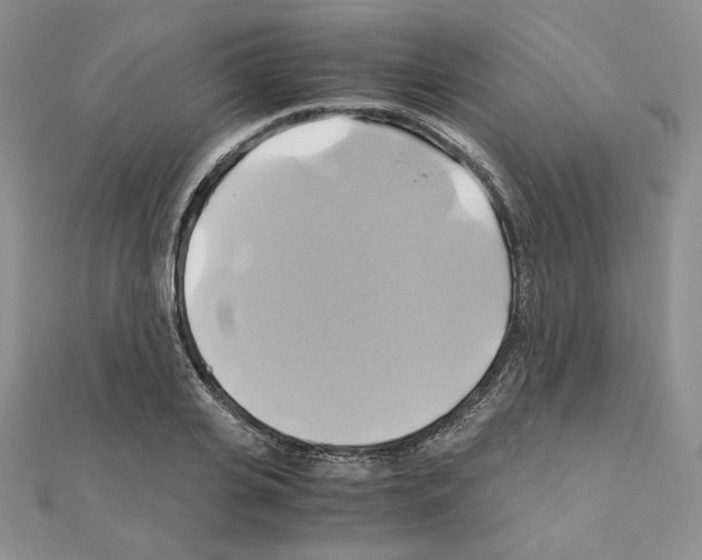 X0000110970935200907310926