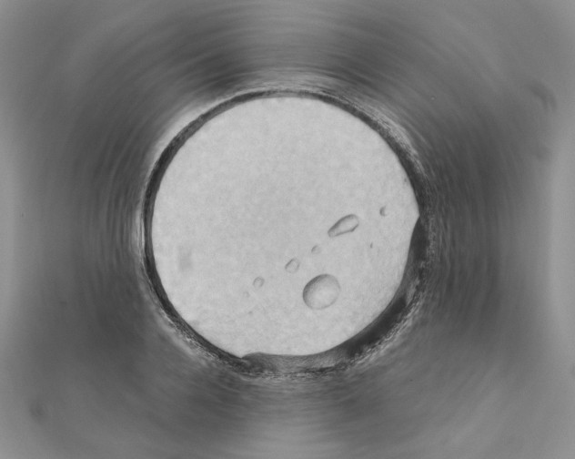X0000110970936200907310926
