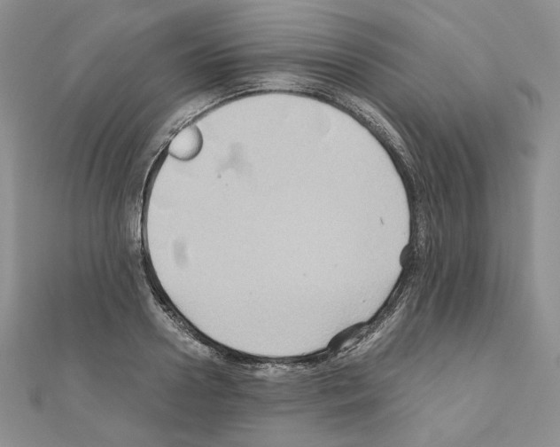 X0000110970938200907310926
