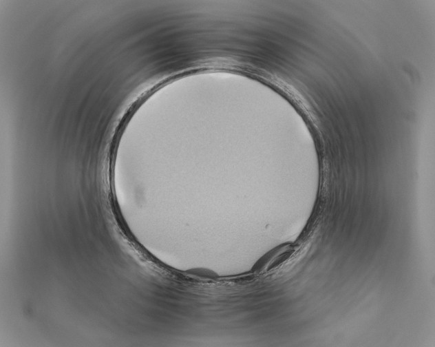 X0000110970939200907310926