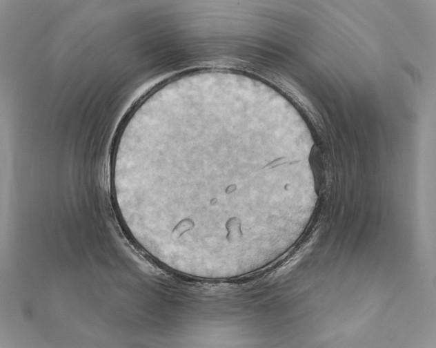 X0000110970940200907310926