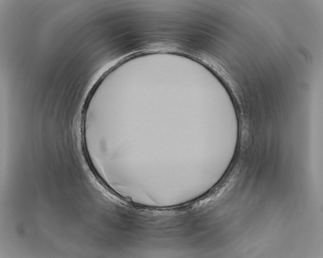 X0000110970941200907310926