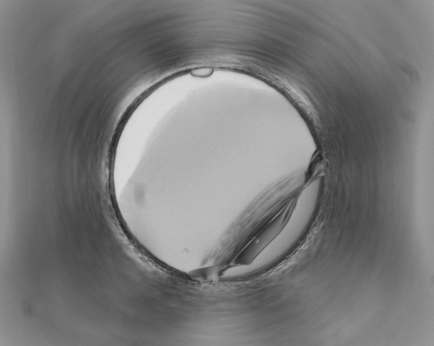 X0000110970944200907310926