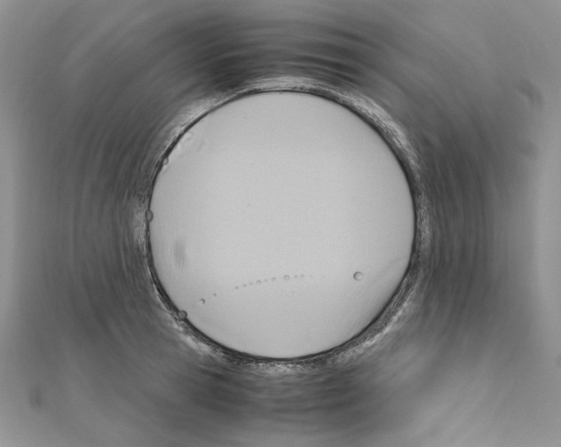 X0000110970945200907310926