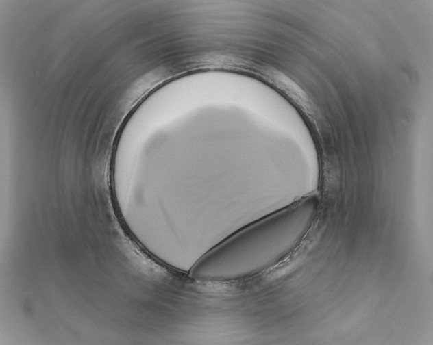 X0000110970946200907310926