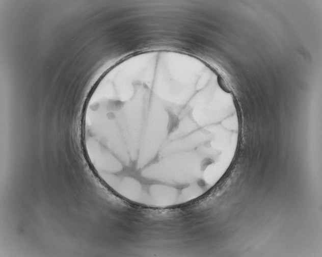 X0000110970949200907310926