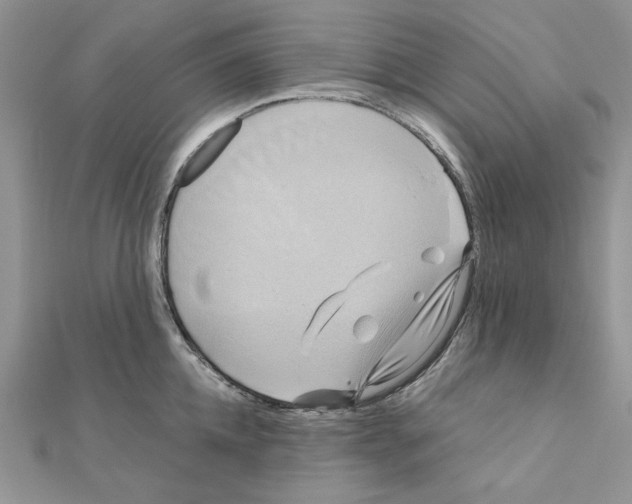 X0000110970952200907310926