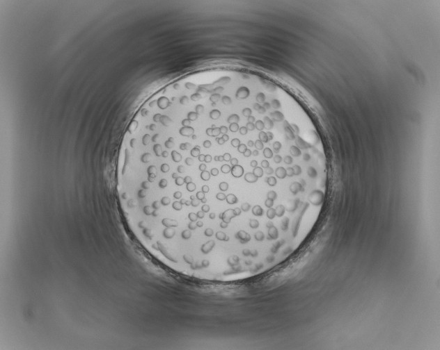 X0000110970953200907310926