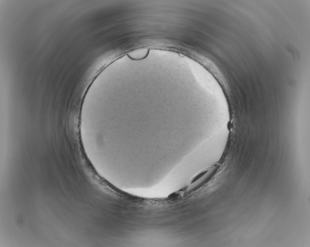 X0000110970954200907310926