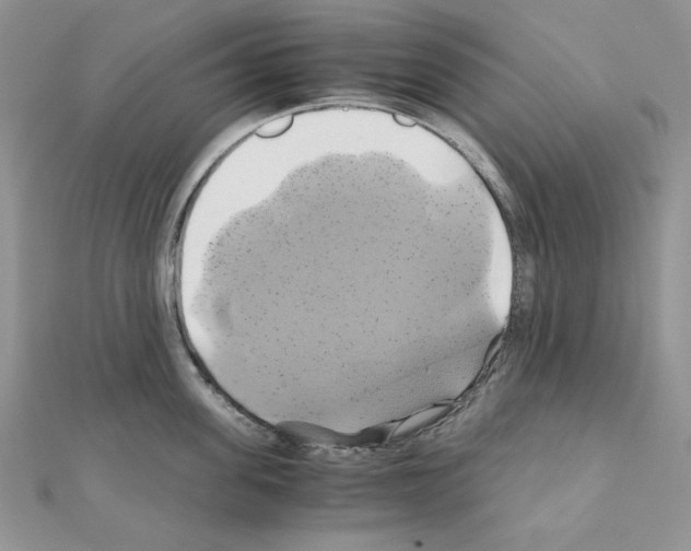 X0000110970955200907310926