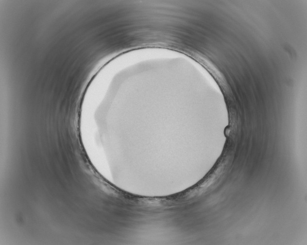 X0000110970956200907310926