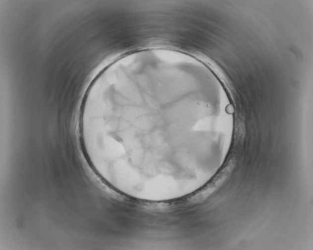 X0000110970957200907310926