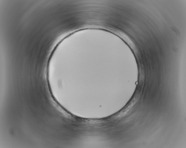 X0000110970958200907310926