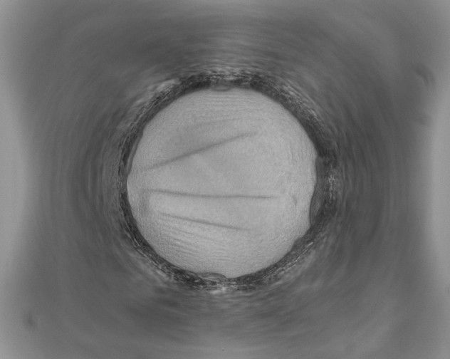 X0000110970961200907310926