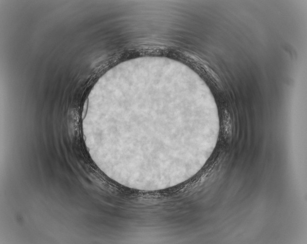 X0000110970964200907310926