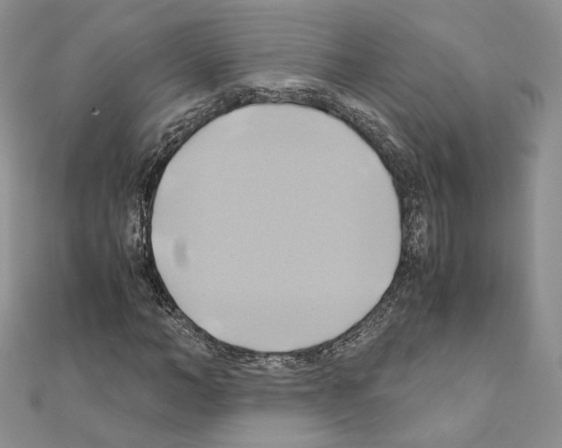 X0000110970966200907310926